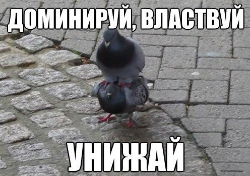 _blind_MF tweet picture