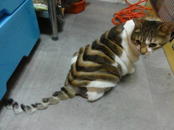 tienergrap's tweet photo. "Retweet en check wat er gebeurd .." http://t.co/q3326N0o