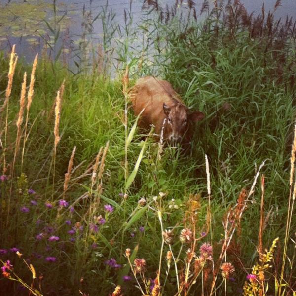 Татьяна Белянина (@TanBel) | Twitter