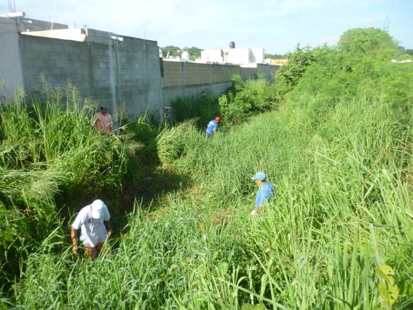 ServPubCam's tweet photo. CHAPEO DE CANAL PLUVIAL EN AV. MAESTROS CAMP. POR FRACC. VILLA DALIAS @AlcaldBetySelem @GobMunCampeche http://t.co/LpMUQA2B