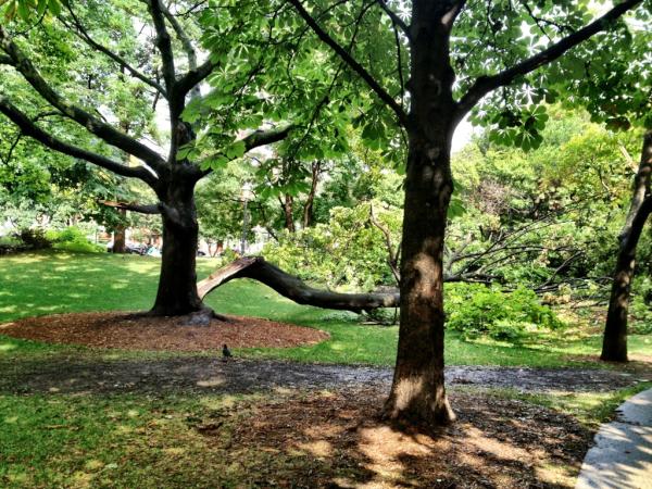 RT <a href="/DePinhoFitness/">Christian de Pinho</a>: Lightning strikes <a href="/StJamesParkTO/">FriendsofStJamesPark</a> #stlawrencemarket twice ! #toronto