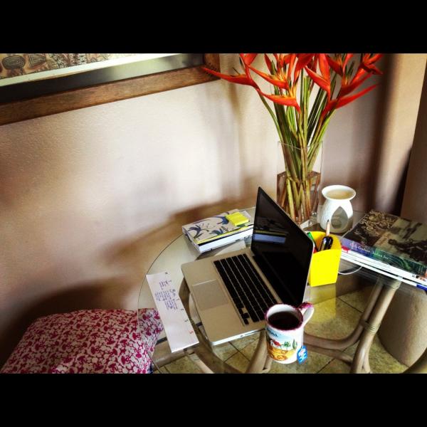 Zoomfiji's tweet photo. Setting up office in our lounge this week #freshflowers #punjastea http://t.co/idr7Lrbu