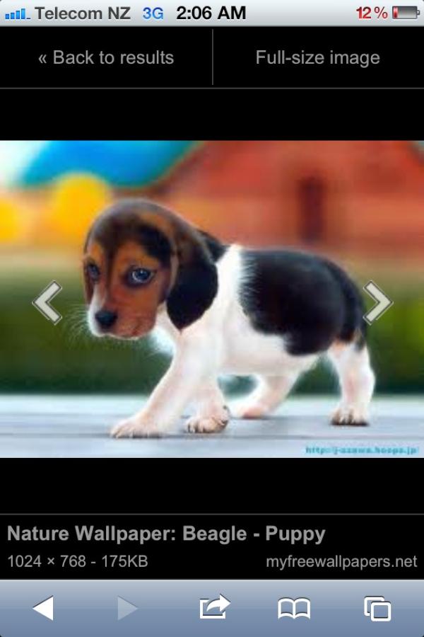 munya2012's tweet image. Help Munya get more follweres