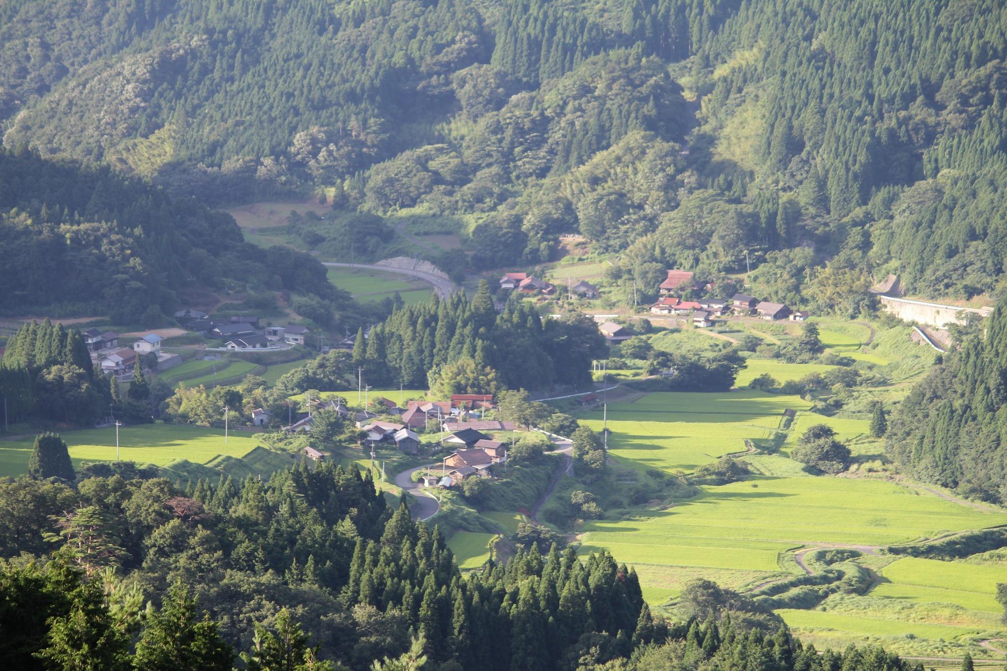 おおみけんいち Twitterissä 