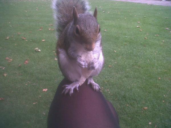 rachel_munns's tweet image. #bestfriends #sharedlunch, but is it really necessary to sit on my lap?