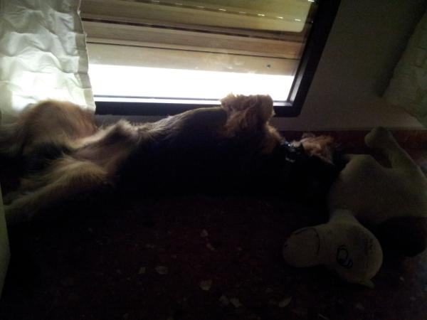 Neo_Gos's tweet photo. Tumbado bajo el chorrito del aire acondicionado para no morirme de calor... http://t.co/RMBxfRAQ