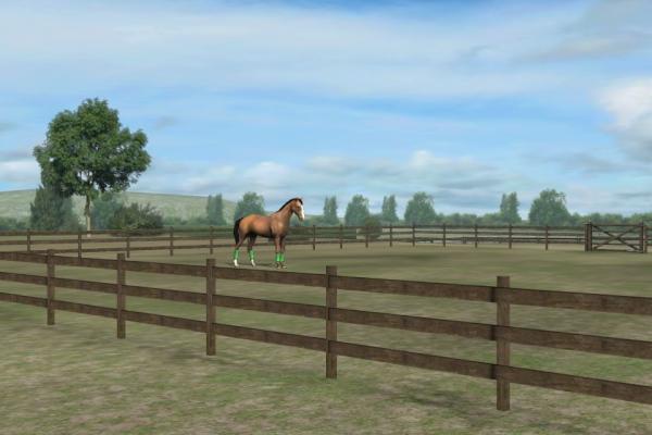 LilachFelner's tweet photo. Check out my photo! Add me, Jonyjon. #MyHorse http://t.co/8QfRQshZ http://t.co/uqJhSGT5