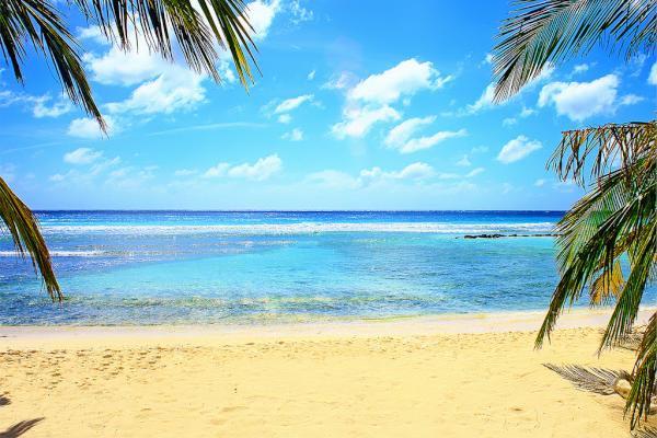 ¿#HaceFrio en #TuCiudad? ¡Ven a #Barbados y los #rayosdelsol iluminarán tu rostro, exigiendo una #buenazambullida!