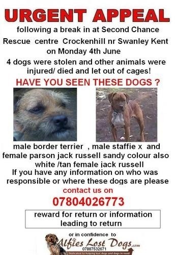CrockenhillKent's tweet image. On 6/4/12 our shelter was savagely attacked 30+animals killed/tortured, pens/cages destroyed, 4 dogs stolen. 💔🙏 Pls RT!