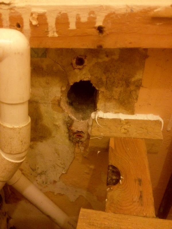 Dbeaverhoussen's tweet photo. Jimmy Hendrix lives!!!!
It appears he's hiding behind my toilet cistern all these years http://t.co/X6yzcyjk