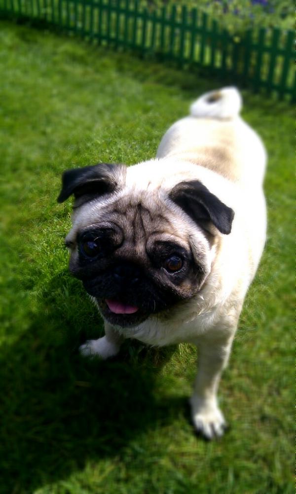 PashaBulbash's tweet image. Если что то не получается, всегда можно попробовать заново