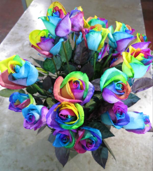 Did you know? The official flower of NY is the ROSE. Come discover these symbolic beauties in our coolers today.