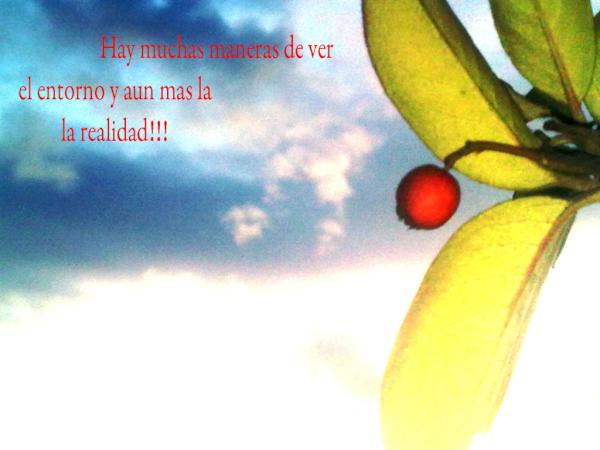 RockWi tweet picture