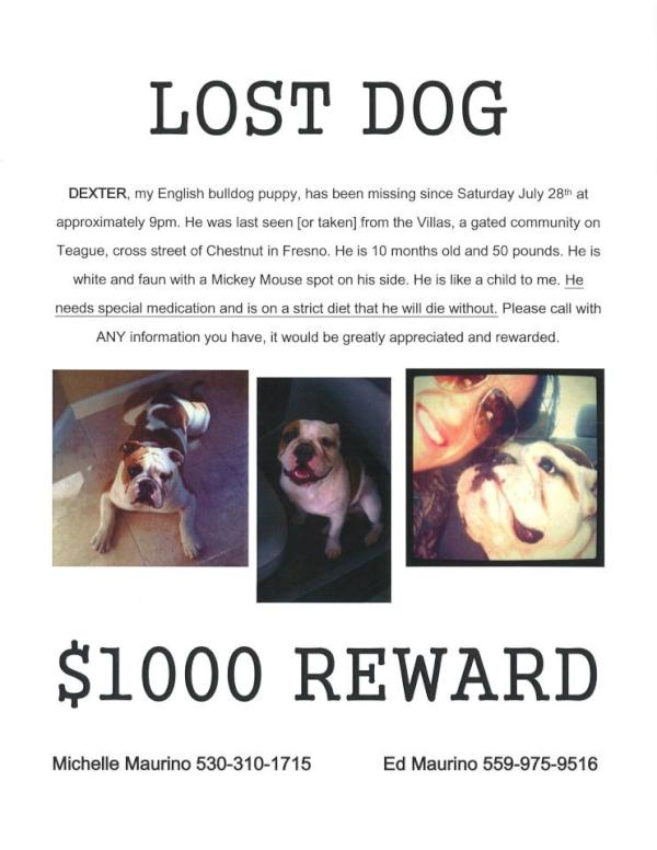 SwirlSipPass's tweet image. ATTN Please help bring Dexter home!  He needs your help!  #Fresno #Dogs #SaveDex @eeeleana @WineThief73