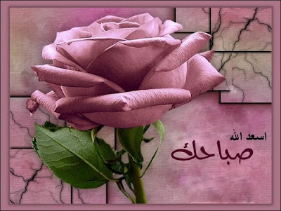 AL_3ASEFA's tweet photo. @NancyAjram http://t.co/yVsmzR9n