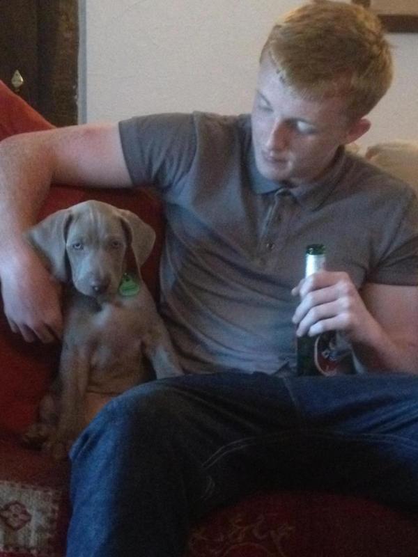 ShaunyTaylor's tweet image. Gunther #ProperPup