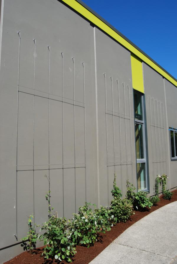 2fORM's tweet photo. One solution to a graffiti problem. Use vine cables to create a greenwall! http://t.co/8FwdfxEl