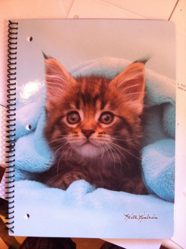 jenaccide's tweet image. If this doesn&apos;t fetch me an A+ then I don&apos;t know what will. #notebookobsession #KITTIES