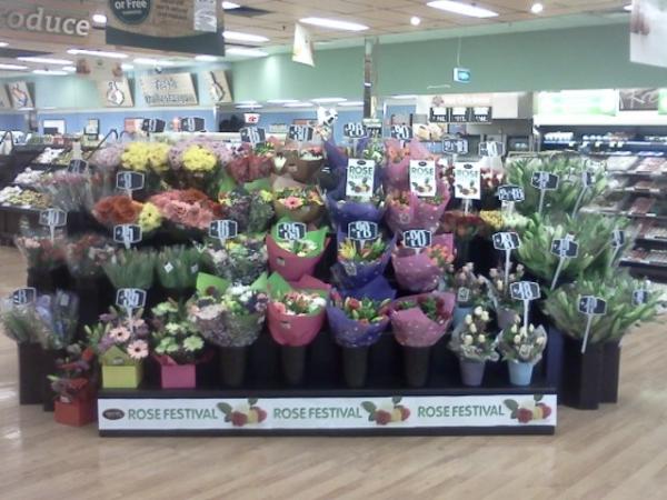 BarnesyDavid's tweet photo. @tjeerdjegen Noosa Civic having a crack at Floral http://t.co/gkvle4rk