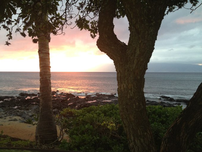 LOVING MAUI!! http://t.co/zlRSEvio<a href="/tag/feature"class="tags"><span>#feature</span></a><a href="/tag/lasvegas"class="tags"><span>#lasvegas</span></a><a href="/tag/avn"class="tags"><span>#avn</span></a><a href="/tag/centerfolds"class="tags"><span>#centerfolds</span></a><a href="/tag/inarivachs"class="tags"><span>#inarivachs</span></a>