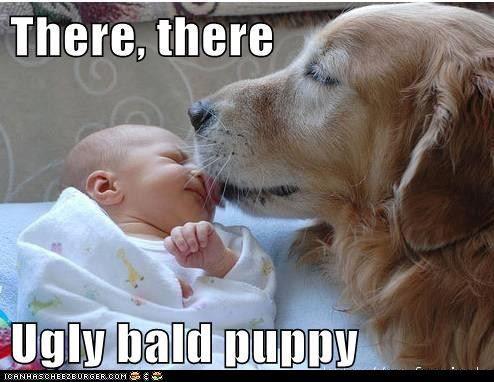 SmartChoiceCafe's tweet image. Happy Friday!