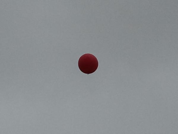 double_gee63 tweet picture