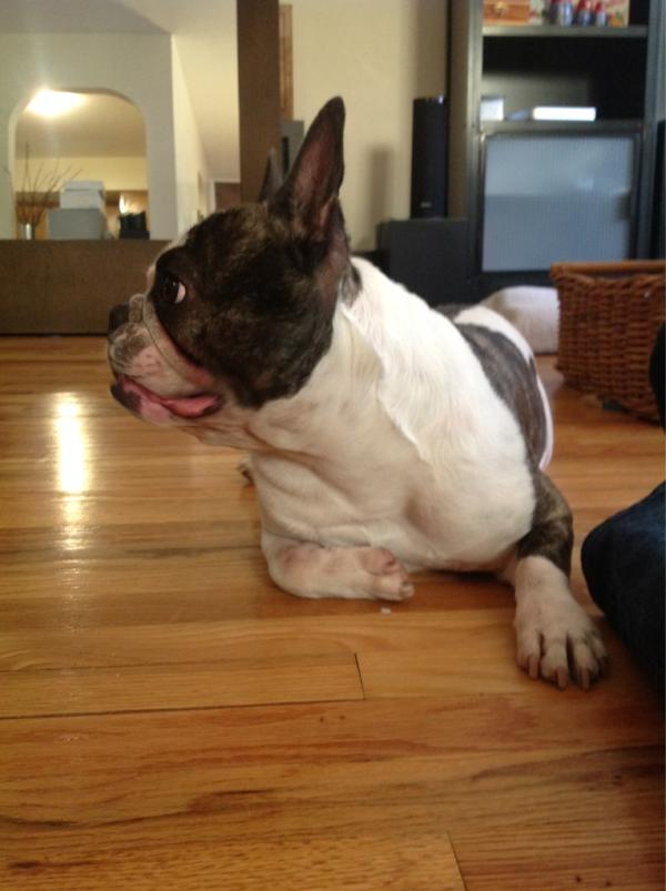 _Picasso_'s tweet image. This is my best side ;)