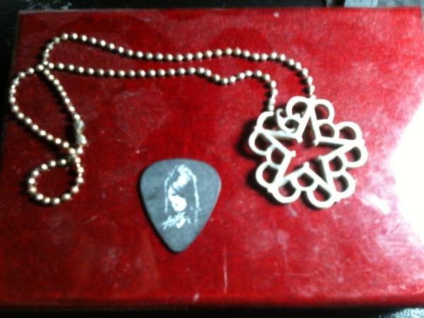 AshPurdysArmy's tweet photo. The pick @AshleyPurdy gave me and my most treasured necklace I got from one of the boys. http://t.co/A2HoNP60