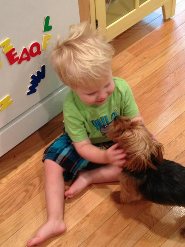 ericaspangler's tweet image. A boy and his dog.