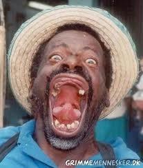 SwirlSipPass's tweet image. We need your help finding our dog Dexter! I am Nick Matzorkis niece. Please help!! #LostDog #SaveDex  @Sylvia_Browne