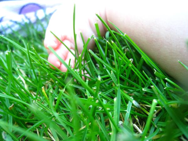 wij verkopen #speelgras ;)