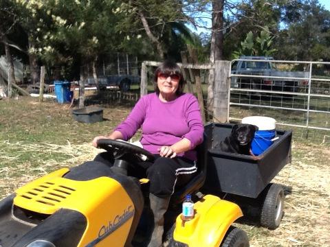 BarnesyDavid's tweet photo. I'm in trouble for name spelling. Loreta and Roxy enjoying the ride http://t.co/4GYuxBWZ