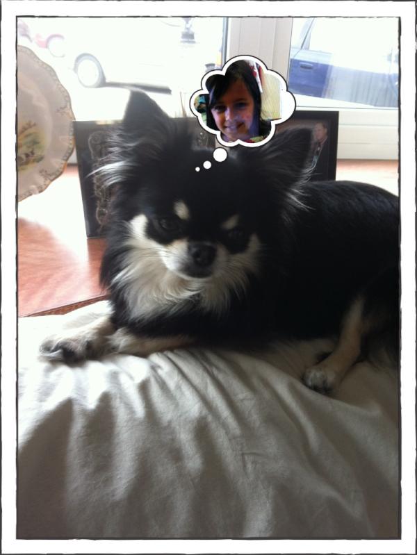 C11adl's tweet photo. A photo Lucy @ Clair - Harrop http://t.co/1syxVI5S