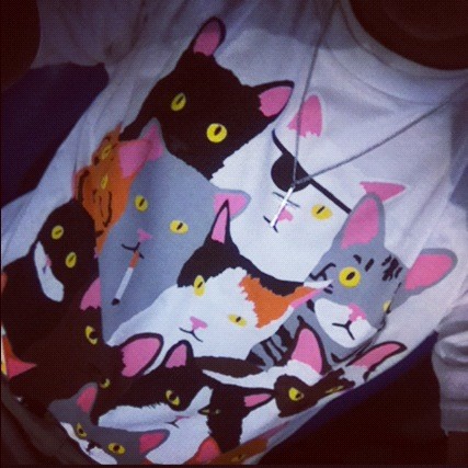 KDerouen's tweet image. #catflow