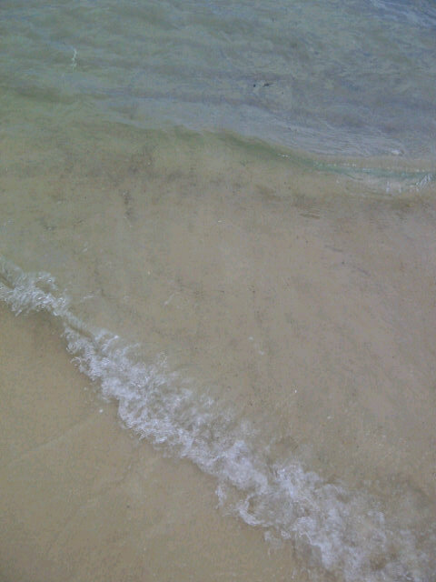 rubyreds702's tweet image. Where the ocean meets the sand....