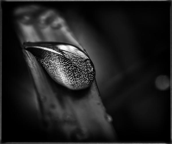 MicrocleanWorld tweet picture