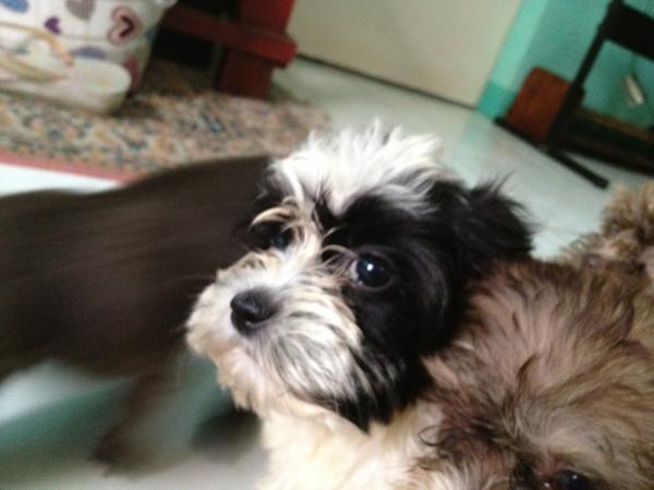 ken_sie tweet picture