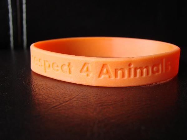 R4A_nl's tweet photo. Wordt dit bandje de hit van het WK. De helft van de opbrengst gaat naar een goed dierendoel. Doe je mee? RT =geweldig http://t.co/6srahnRa2H