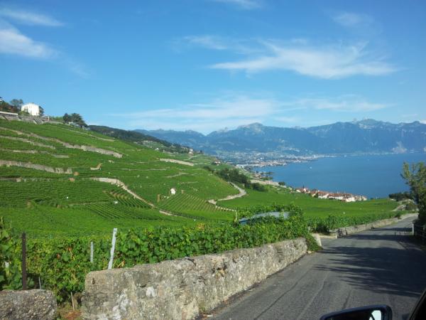 BeaPuerta's tweet photo. Alguien podria imaginar q una estampa tan idilica podria existir de verdad? Existe, yo lo he visto #swiss http://t.co/P6Y8xJVw