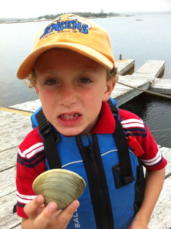 The #ClamRevolution is alive and well in Lower Prospect #novascotia today.