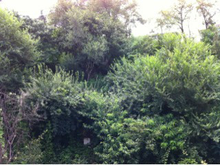 dalianmax tweet picture