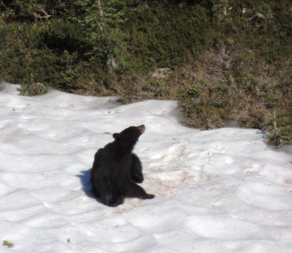 Austin Moothart tweet media