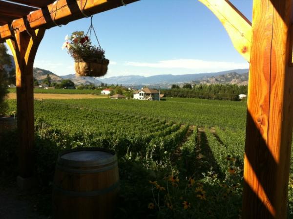 dloo's tweet photo. Relaxing after climbing in the slags bluffs.   Happy bc day! http://t.co/CEOOMZ0M