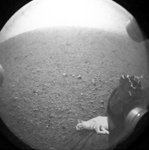 merkley's tweet photo. Terribly sad first photo from Curiosity on Mars. http://t.co/s0vezhSB