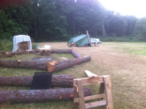 Röttle Bioblitz tweet media