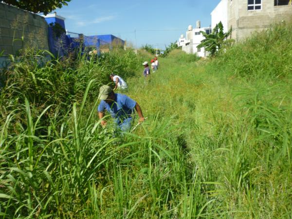 ServPubCam's tweet photo. CHAPEO DE CANAL PLUVIAL UBICADO ENTRE FRACC. RESIDENCIAL LA HACIENDA Y KALA @AlcaldBetySelem @GobMunCampeche http://t.co/5n397o5z
