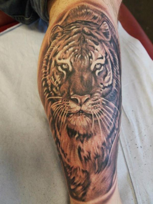 Tiger Tattoos On Calf