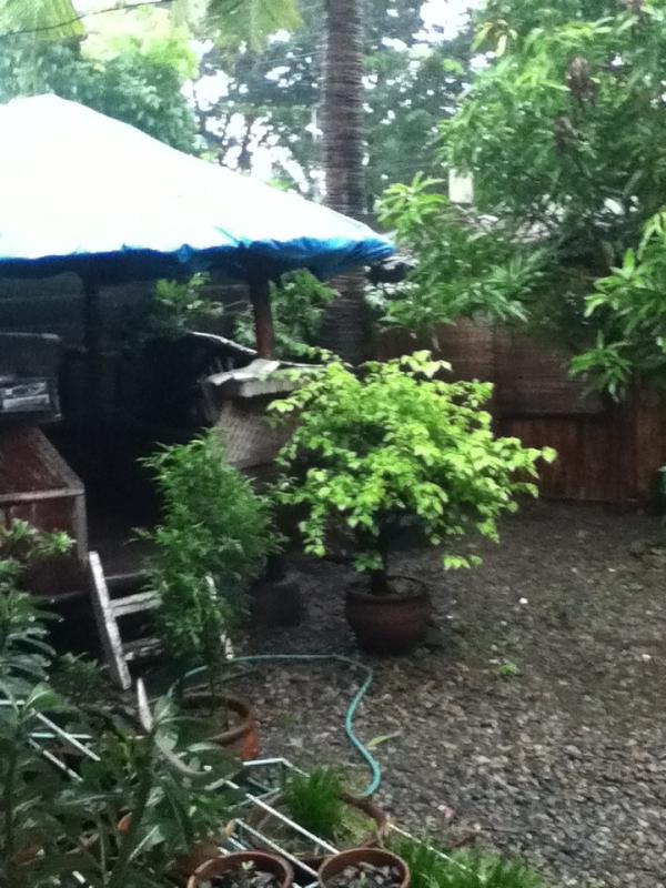 It hasnt stopped raining yet! Gd thing its my off