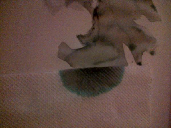 SarahScan_'s tweet image. The kitchen roll I used to clean up my mistake looks cooler than my drawing #ImDoingItWrong