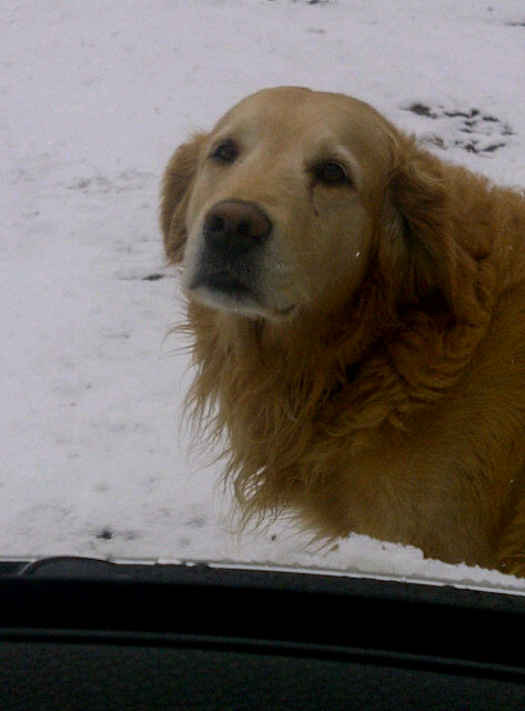 Snowing in jburg